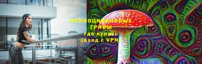 сайты даркнета наркотические препараты  Апрелевка  Псилоцибиновые грибы MAGIC MUSHROOMS 